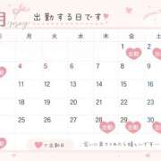 ヒメ日記 2026/04/23 23:52 投稿 なな ハピネス福岡