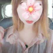 ヒメ日記 2026/04/05 11:42 投稿 鈴木 久美 こあくまな熟女たち三河店（KOAKUMAグループ）