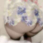 ヒメ日記 2026/04/03 09:03 投稿 うみの フロンティア