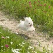 ヒメ日記 2026/05/11 11:05 投稿 まい 渋谷じゃっくす