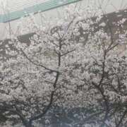 ヒメ日記 2026/03/30 12:15 投稿 野村 熟女の風俗最終章 横浜本店