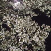 野村 おやすみなさい 熟女の風俗最終章 横浜本店