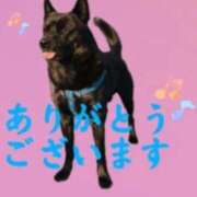 ヒメ日記 2026/07/20 15:11 投稿 野村 熟女の風俗最終章 横浜本店