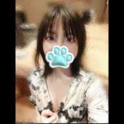 ヒメ日記 2026/03/31 14:53 投稿 はる ハピネス札幌