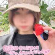 ヒメ日記 2026/04/10 10:08 投稿 とあ 福島♂風俗の神様 郡山店