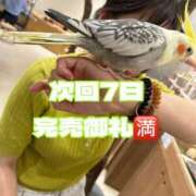 ヒメ日記 2026/10/05 09:58 投稿 とあ 福島♂風俗の神様 郡山店
