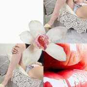 ヒメ日記 2026/04/15 12:40 投稿 あまね 奥鉄オクテツ兵庫