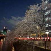 ヒメ日記 2026/04/05 09:52 投稿 りお 道玄坂クリスタル