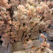 ヒメ日記 2026/04/19 12:16 投稿 りお 道玄坂クリスタル