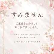 ヒメ日記 2026/08/19 07:53 投稿 しおり 熟女総本店 日本橋ミナミエリア店