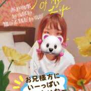 ヒメ日記 2026/04/08 09:55 投稿 あや スッキリ！！日本橋店