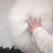 ヒメ日記 2026/04/01 17:54 投稿 ひな ぽちゃ巨乳専門　新大久保・新宿歌舞伎町ちゃんこ