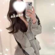 ヒメ日記 2026/05/11 01:13 投稿 あかね★容姿端麗ご奉仕好きOL Bell～S級美女お姉様・人妻デリヘル～