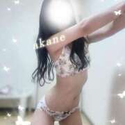 ヒメ日記 2026/05/14 04:44 投稿 あかね★容姿端麗ご奉仕好きOL Bell～S級美女お姉様・人妻デリヘル～