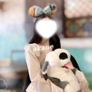 ヒメ日記 2026/05/17 12:22 投稿 あかね★容姿端麗ご奉仕好きOL Bell～S級美女お姉様・人妻デリヘル～