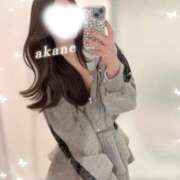 ヒメ日記 2026/06/12 01:55 投稿 あかね★容姿端麗ご奉仕好きOL Bell～S級美女お姉様・人妻デリヘル～