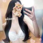 ヒメ日記 2026/06/13 21:49 投稿 あかね★容姿端麗ご奉仕好きOL Bell～S級美女お姉様・人妻デリヘル～
