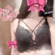ヒメ日記 2026/06/16 09:14 投稿 あかね★容姿端麗ご奉仕好きOL Bell～S級美女お姉様・人妻デリヘル～