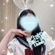 ヒメ日記 2026/06/20 02:57 投稿 あかね★容姿端麗ご奉仕好きOL Bell～S級美女お姉様・人妻デリヘル～