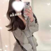 ヒメ日記 2026/06/28 02:18 投稿 あかね★容姿端麗ご奉仕好きOL Bell～S級美女お姉様・人妻デリヘル～