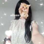 ヒメ日記 2026/07/13 15:34 投稿 あかね★容姿端麗ご奉仕好きOL Bell～S級美女お姉様・人妻デリヘル～