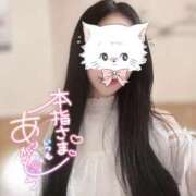 ヒメ日記 2026/07/25 22:41 投稿 あかね★容姿端麗ご奉仕好きOL Bell～S級美女お姉様・人妻デリヘル～