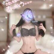 ヒメ日記 2026/08/06 14:15 投稿 あかね★容姿端麗ご奉仕好きOL Bell～S級美女お姉様・人妻デリヘル～