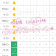 ヒメ日記 2026/10/12 13:43 投稿 あかね★容姿端麗ご奉仕好きOL Bell～S級美女お姉様・人妻デリヘル～
