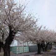 ヒメ日記 2026/04/07 20:47 投稿 河奈　えみり 30・40・50代☆人妻熟女コレクション