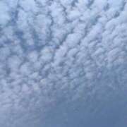 ヒメ日記 2026/04/20 15:37 投稿 河奈　えみり 30・40・50代☆人妻熟女コレクション