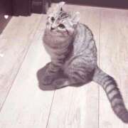 ヒメ日記 2026/04/04 16:38 投稿 みこ 実録！おとなのわいせつ倶楽部