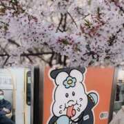 ねね 新人＠ねね（スピード難波店） スピード難波店