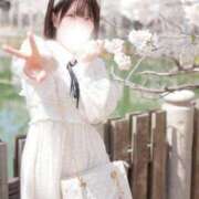 ヒメ日記 2026/04/04 14:01 投稿 いろは BUNNY（バニー）十三店