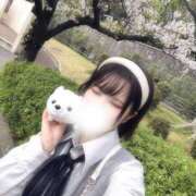 ヒメ日記 2026/04/07 13:45 投稿 いろは BUNNY（バニー）十三店