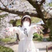 ヒメ日記 2026/04/10 11:14 投稿 いろは BUNNY（バニー）十三店