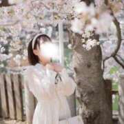 ヒメ日記 2026/04/11 13:45 投稿 いろは BUNNY（バニー）十三店