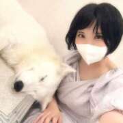 ヒメ日記 2026/06/26 19:02 投稿 いろは BUNNY（バニー）十三店