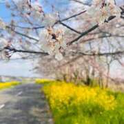 ヒメ日記 2026/03/29 21:29 投稿 ゆうり セレブクエスト-Kawagoe-