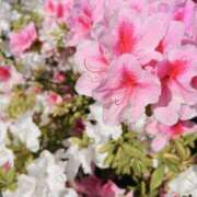 ヒメ日記 2026/03/29 23:44 投稿 ゆうり セレブクエスト-omiya-