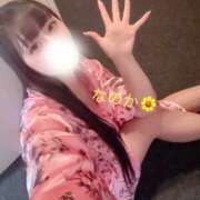 ヒメ日記 2026/08/12 11:58 投稿 なのか おいらん(池袋)
