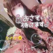 ヒメ日記 2026/09/27 09:25 投稿 なのか おいらん(池袋)
