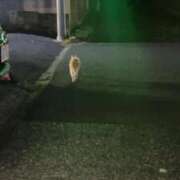 ヒメ日記 2026/04/30 22:27 投稿 なぎ 東京リップ 池袋店