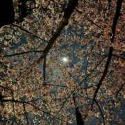 ヒメ日記 2026/03/30 21:31 投稿 ユキ アリスマリオン
