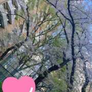 ヒメ日記 2026/04/02 23:29 投稿 みらい 奥様特急　池袋・大塚店