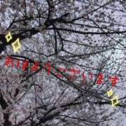 ヒメ日記 2026/04/01 09:05 投稿 みゆき 丸妻 新横浜店