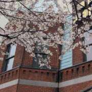 ヒメ日記 2026/04/01 17:05 投稿 琴【こと】 丸妻 西船橋店