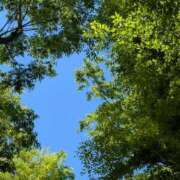 ヒメ日記 2026/04/16 12:36 投稿 琴【こと】 丸妻 西船橋店