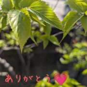 ヒメ日記 2026/04/26 00:08 投稿 琴【こと】 丸妻 西船橋店