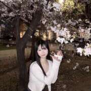 ヒメ日記 2026/04/02 12:03 投稿 ツナ ドMなバニーちゃん水戸店