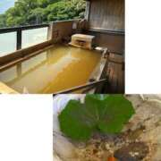 ヒメ日記 2026/05/15 18:46 投稿 岡島 熟女の風俗最終章 新横浜店